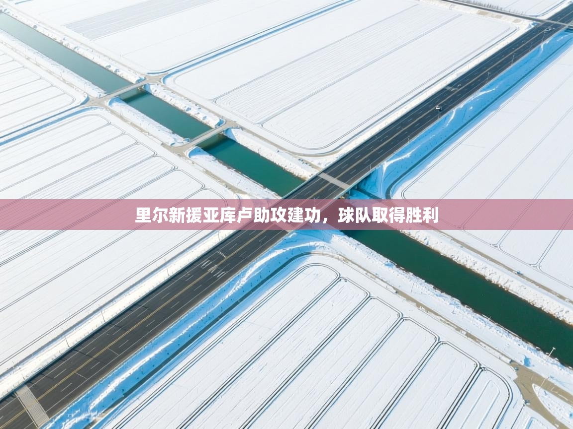 里尔新援亚库卢助攻建功，球队取得胜利