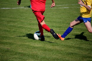 爱游戏app下载-法甲圣日耳曼队签下阿根廷国脚帕雷迪斯，阿根廷球员帕拉莫